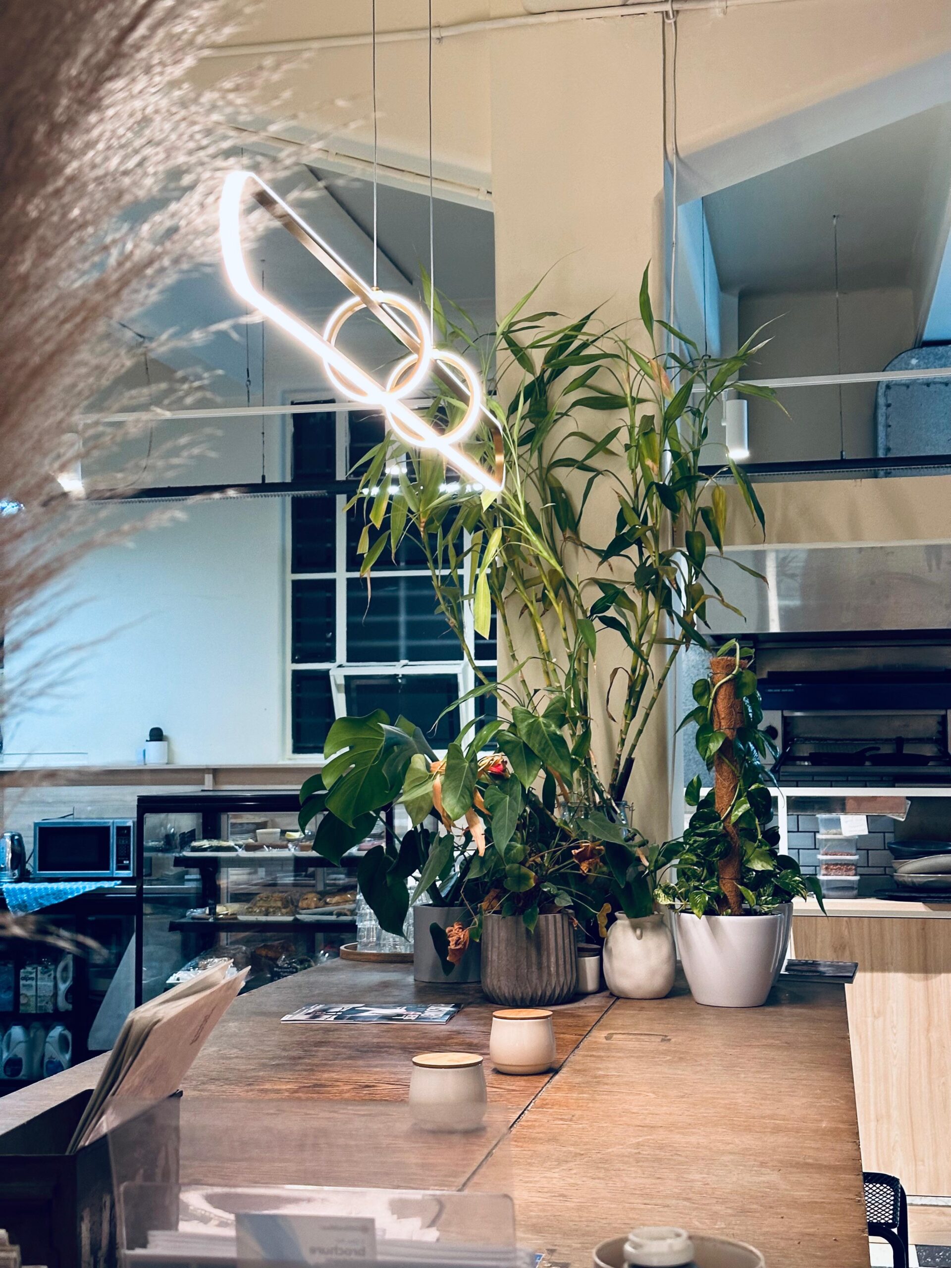 A modern cafe features a sleek wooden countertop adorned with potted plants, adding a touch of greenery. Unique pendant lights hang overhead, casting a warm glow. A brick oven and other kitchen equipment are visible in the background. The atmosphere is cozy and inviting.